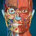 Anatomy Learning - 3D Anatomy