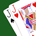 Euchre - Expert AI