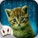 Hidden Mahjong Cat Tails: Free