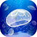Jellyfish Pet